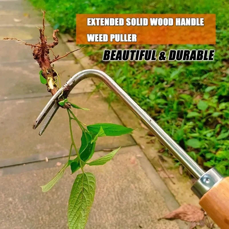 Weed puller with a wooden handle and metal head, used to pull weeds from the ground.